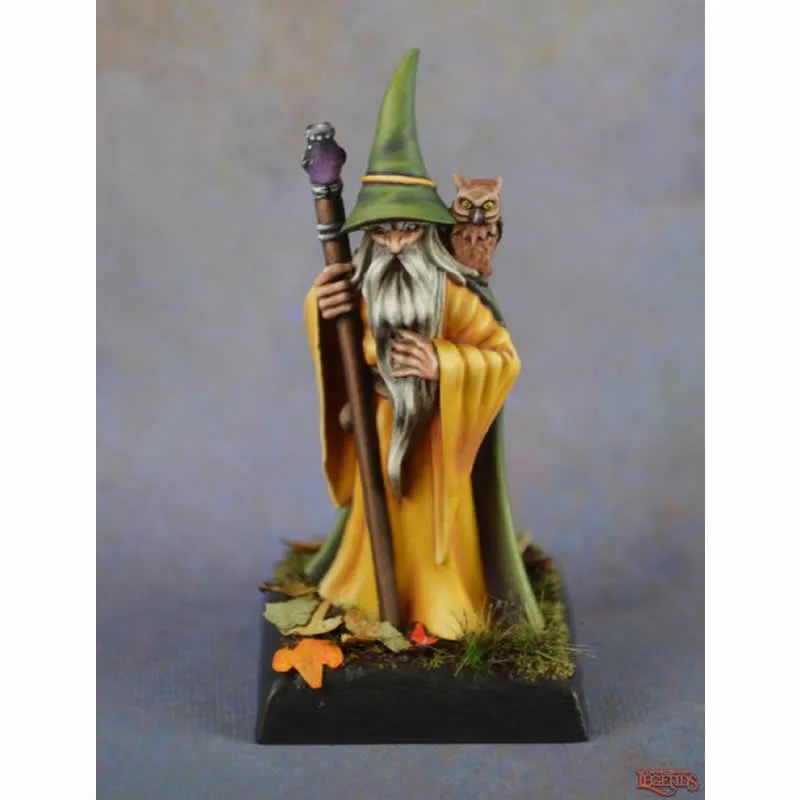 Reaper Dark Heaven Legends: Anuminar Winterbeard, Wizard — miniatuur