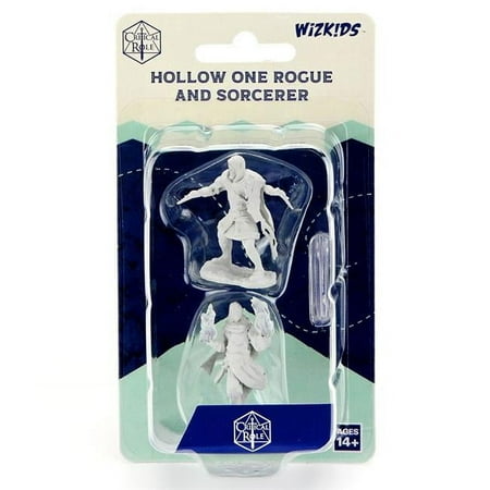 Critical Role: Hollow One Rogue and Sorceror Male Unpainted Miniature — miniatuur