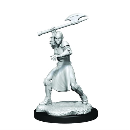 Critical Role Unpainted Miniatures Half-Elf Echo Knight and Echo Female Case (2) — miniatuur