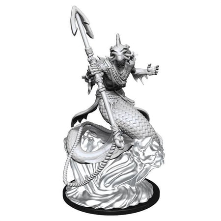 Critical Role Unpainted Miniatures Shallowpriest Case (2) — miniatuur