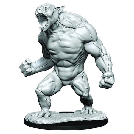 Critical Role Unpainted Miniatures (W1) Aeorian Reverser — miniatuur