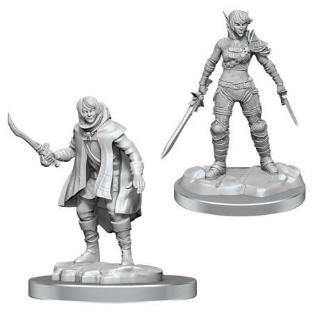 D&D Nolzur's Marvelous Unpainted Miniatures: Elf Rogue & Half-Elf Rogue Protege — miniatuur
