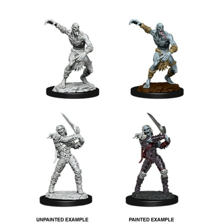 D&D Nolzur's Marvelous Unpainted Miniatures (W11) Wight & Ghast — miniatuur