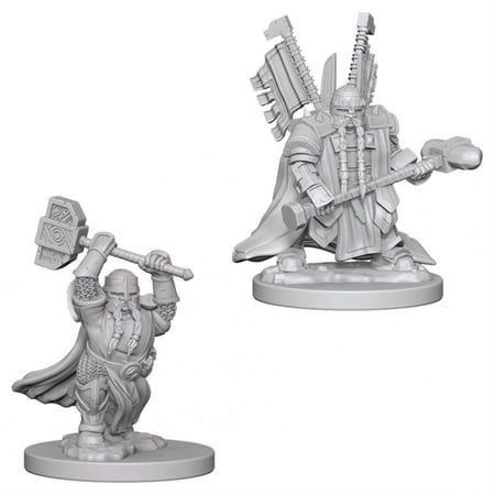 D&D Nolzur's Marvelous Unpainted Miniatures (W5) Dwarf Male Paladin — miniatuur
