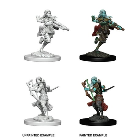 Dungeons & Dragons Nolzur's Marvelous Unpainted Miniatures - Air Genasi Female Rogue — miniatuur