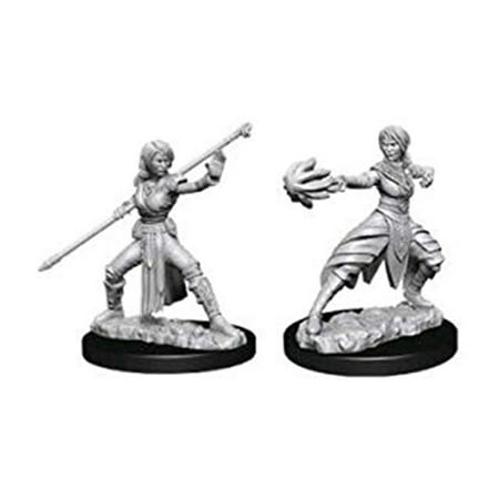 Dungeons & Dragons Nolzur's Marvelous Unpainted Miniatures - Female Half- Elf Monk — miniatuur