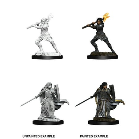 Dungeons & Dragons Nolzur's Marvelous Unpainted Miniatures - Female Human Paladin — miniatuur