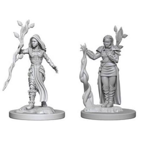 Dungeons & Dragons Nolzur's Marvelous Unpainted Miniatures Human Female Druid — miniatuur