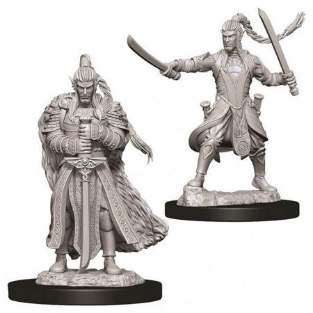 Dungeons & Dragons Nolzur's Marvelous Unpainted Miniatures - Male Elf Paladin — miniatuur