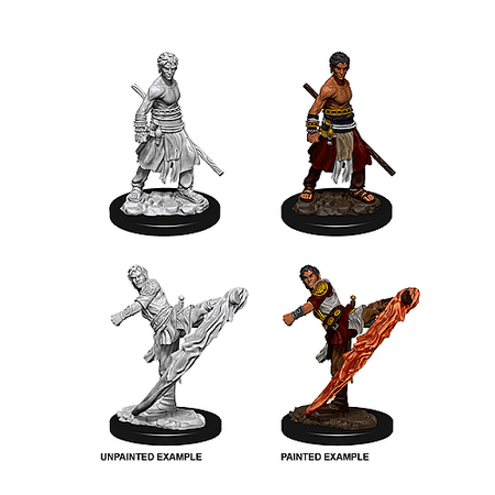 Dungeons & Dragons Nolzur's Marvelous Unpainted Miniatures - Male Half- Elf Monk — miniatuur