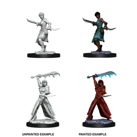 Dungeons & Dragons Nolzur's Marvelous Unpainted Miniatures (W10) Female Human Rogue — miniatuur