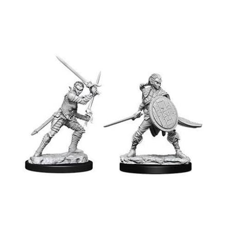 Pathfinder Battles Deep Cuts Unpainted Miniatures - Female Elf Fighter