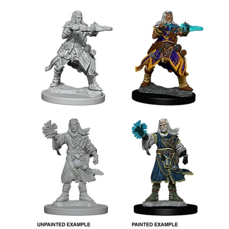 Pathfinder Battles Deep Cuts Unpainted Miniatures (W1) Male Human Wizard — miniatuur