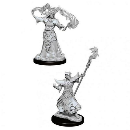 Pathfinder Battles Deep Cuts Unpainted Miniatures (W11) Male Human Sorcerer — miniatuur