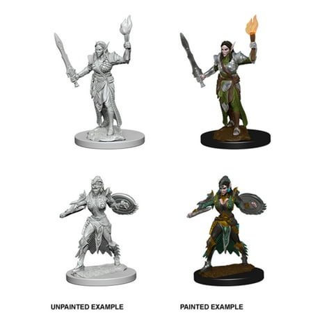 Pathfinder Deep Cuts Unpainted Miniatures Elf Female Fighter