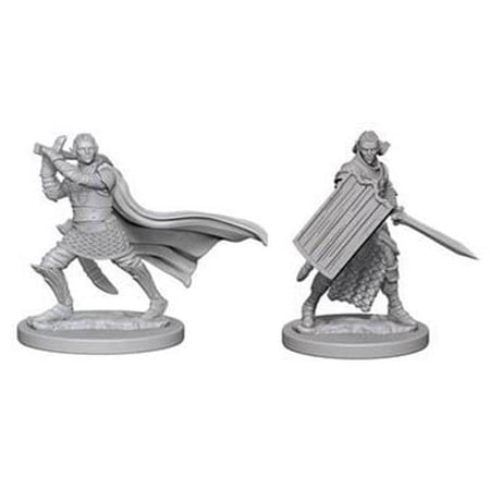 Pathfinder Deep Cuts Unpainted Miniatures - Elf Male Paladin — miniatuur