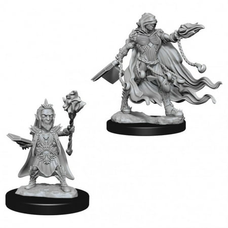 Pathfinder Deep Cuts Unpainted Miniatures Evil Wizards — miniatuur