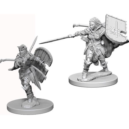 Pathfinder Deep Cuts Unpainted Miniatures (W1) Human Female Paladin — miniatuur