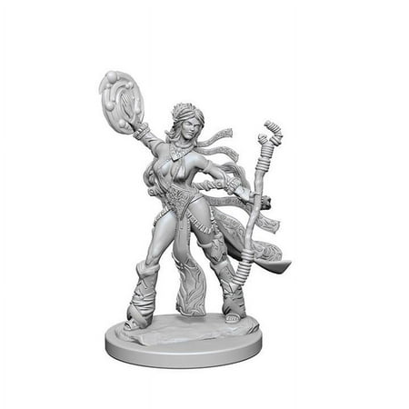 Pathfinder Deep Cuts Unpainted Miniatures (W1) Human Female Sorcerer — miniatuur