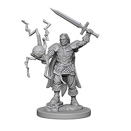 Pathfinder Deep Cuts Unpainted Miniatures (W1) Human Male Cleric — miniatuur