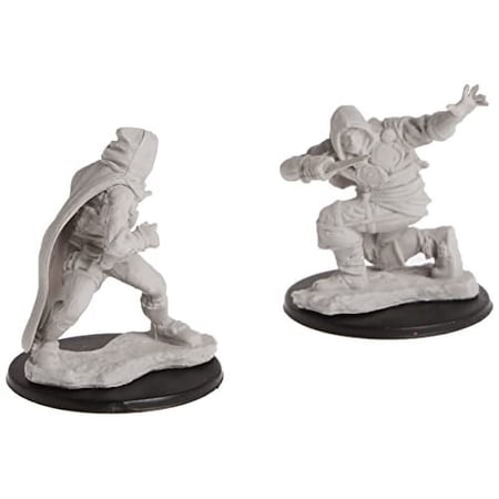 Pathfinder Deep Cuts Unpainted Miniatures (W1) Human Male Rogue — miniatuur