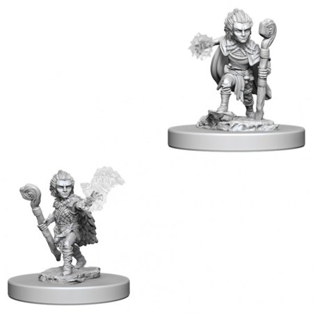 Pathfinder Deep Cuts Unpainted Miniatures (W5) - Gnome Male Druid — miniatuur