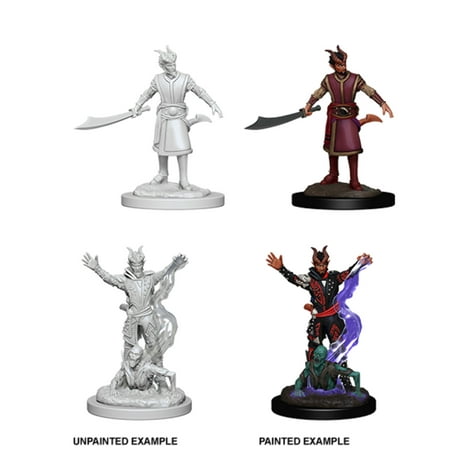 WizKids WZK73388 Male Tiefling Warlock W6 Dungeons & Dragons Nolzurs Marvelous Miniatures — miniatuur