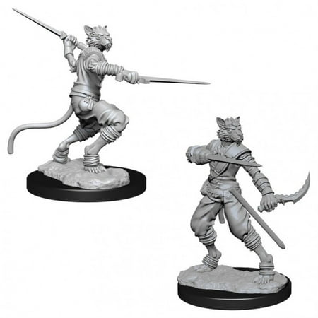 WizKids WZK73540 Dungeons & Dragons Nolzurs Marvelous Miniatures - Male Tabaxi Rogue W7 — miniatuur