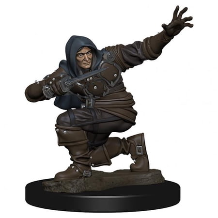 WizKids WZK77500 Pthfinder Battles Premium Human Rogue Male Miniature — miniatuur