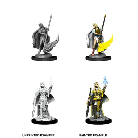 WizKids WZK90044 Pathfinder Deep Cuts & Female Human Oracle W11 Miniature — miniatuur