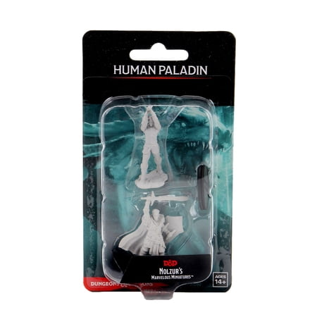 WizKids WZK90060 Dungeons & Dragons Nolzurs Marvelous Unpainted Miniatures - Male Human Paladin Wave — miniatuur