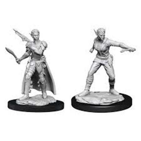 WizKids WZK90148 Dungeons & Dragons Shifter Rogue Female W13 Nolzurs Marvelous Miniatures — miniatuur