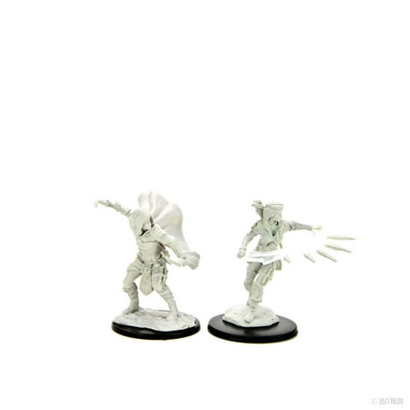 WizKids WZK90269 Pathfinder Deep Cut Human Rogue Female W14 Miniature — miniatuur