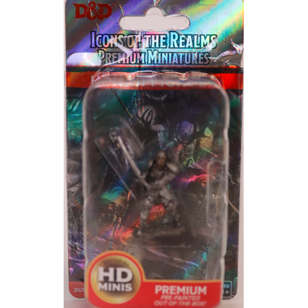 WizKids WZK93017 Dungeons & Dragons Icons of the Realms Premium Male Human Fighter Miniature — miniatuur